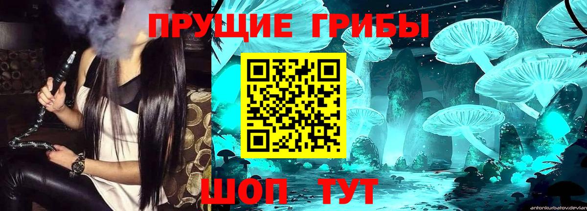 Галлюциногенные грибы мицелий  Вход с VPN  где купить   Карталы 